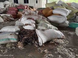 DLH Gresik Sidak Pabrik Pengolahan Bulu Ayam di Desa Krikilan