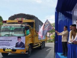 27 Ton Gambir dari Sumatera Barat Diekspor ke India