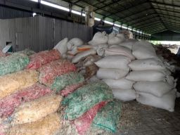 Pengolahan Bulu Ayam di Driyorejo Timbulkan Bau Tak Sedap