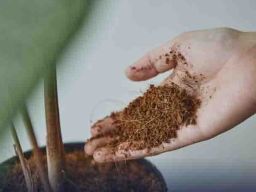 PT Migunani Bersama Internasional Ekspor 16 Ton Cocopeat ke Taiwan