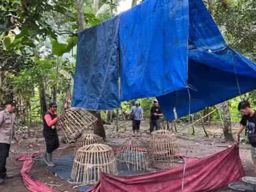 Gelanggang Sabung Ayam di Desa Alasmalang Meresahkan Masyarakat