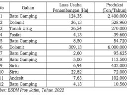 Dolomit Jadi Komoditas Utama Pertambangan di Gresik