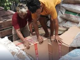 Penyelundupan Rokok Ilegal Modus Pupuk Kandang di Jalur Tol Pejagan