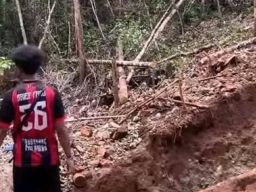 TPNPB Ancam Eksekusi Pekerja Tambang Ilegal di Tanah Papua