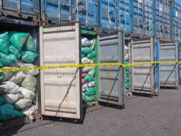 Direktur PT Best Prima Energy Jadi Terdakwa Pertambangan Ilegal