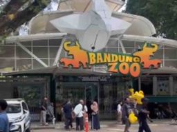 Pegawai Kebun Binatang Bandung Ngamen untuk Pakan Satwa