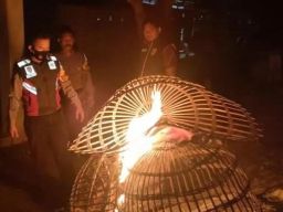 Polsek Balongbendo Grebek Lokasi Sabung Ayam di Desa Kemangsen