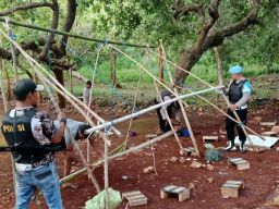 Polsek Lapandewa Bongkar Arena Sabung Ayam di Desa Lapandewa