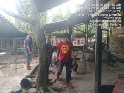 Polsek Kutalimbaru Grebek Lokasi yang Disinyalir Jadi Arena Sabung Ayam