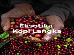 Eksotika Rasa Kopi Langka