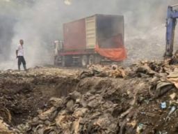 84 Ton Kulit Sapi Dimusnahkan Karantina Jawa Timur