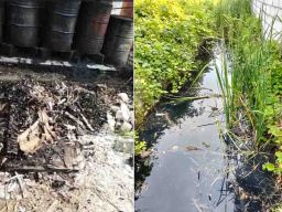 Limbah B3 Mencemari Tambak di Desa Banjarsari Gresik