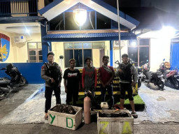 Patroli Polairud Polres Selayar Tindak Kapal Penangkap Kerang Lola Ilegal