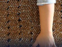 Bea Cukai Semarang Tindak Rokok Ilegal Senilai Rp 2,85 Miliar