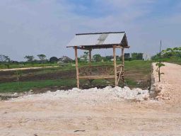 Alih Fungsi Lahan di Gresik Membuat Lahan Pertanian Menyempit