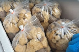 Tahu Bakso Ayam Kalimantan Barat Diminati Pasar Malaysia