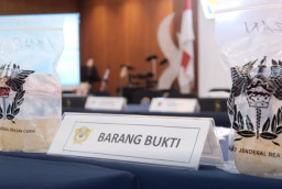 Penyelundupan Baby Lobster di Bandara Soekarno Hatta