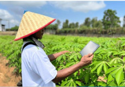 Bomba Group Membutuhkan Tenaga Kerja untuk Posisi Asisten R and D