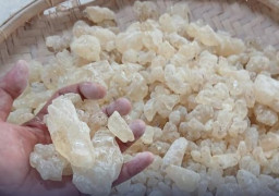 CV Indonesia Commodity Penggerak Ekspor Getah Damar