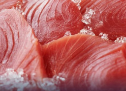 Produk Perikanan Maluku Ekspor Frozen Ikan Tuna di Jepang