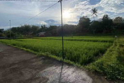 Jangan Sembarang Alih Fungsikan Lahan Pertanian Pangan Berkelanjutan
