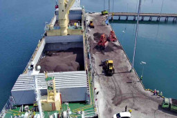 PT Jambi Semesta Biomassa Ekspor Cangkang Sawit Senilai USD 1 Juta