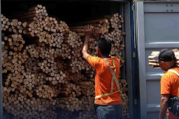 Bea Cukai Gagalkan Penyelundupan Ekspor Rotan Tujuan Tiongkok