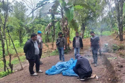 Polsek Kindang Bubarkan Judi Sabung Ayam Berkedok Hajatan di Desa Tamaona