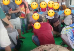Diduga Dibiarkan, Praktik Sabung Ayam di Sedati Berlangsung Bebas