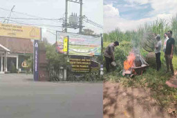 Polsek Prambon Didesak Selidiki Dugaan Judi Sabung Ayam di Desa Jatikalang