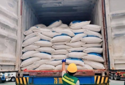 PT Lautindo Synergy Sejahtera Ekspor Tepung Ikan ke Thailand