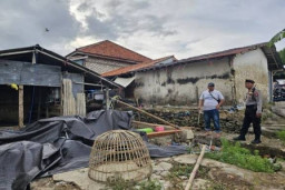 Kasus Judi Sabung Ayam di Desa Blaban, 4 Orang Dipenjara, Ahmad Jadi DPO