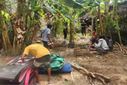 Kasus Judi Sabung Ayam di Desa Kotakan, 3 Penjudi Divonis 8 Bulan Penjara