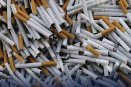 Bea Cukai Malang Tangkap Truk Pengangkut 2,4 juta Batang Rokok Ilegal