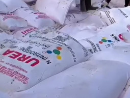 Staf Sekretaris Desa Mojosari Divonis Penjara Perkara Jual Pupuk Subsidi