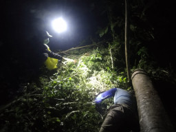 Warga Desa Klepu Ditemukan Meninggal Dunia Secara Misterius di Hutan Pinus