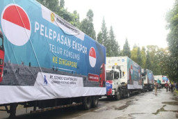 545 Ton Produk Unggas Asal Indonesia Diekspor ke Tiga Negara