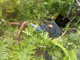 Organisasi Papua Merdeka Bunuh Dua Pegawai Rumah Sakit