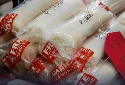 Penyelundupan Baby Lobster di Bandara Yogyakarta Digagalkan