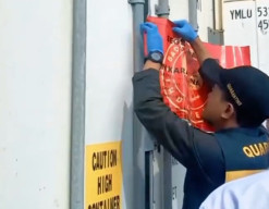 PT Amy Pacific Morotai Ekspor 18 Ton Tuna dan Balobo ke Jepang