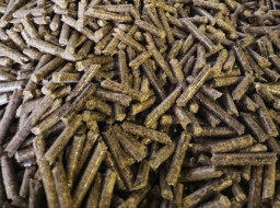 PT Haafa Wirama Lestari Kirim 20 Ton Wood Pellet ke Kuwait