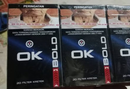 Rayyan Asysazili Divonis 2 Tahun dan Denda Rp 2 Miliar Karena Rokok Ilegal