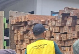 Sopir Truk Dipenjara karena Angkut Kayu Ilegal di Desa Loa Janan
