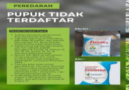 Pengedar Pupuk PT Bumi Subur Khatulistiwa Jadi Tersangka di Tulungagung