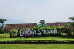 Sensasi Destinasi Alam Dolan Sawah di Salatiga