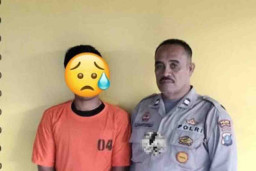 Polsek Kampung Rakyat Ungkap Pencurian 25 Janjang Sawit