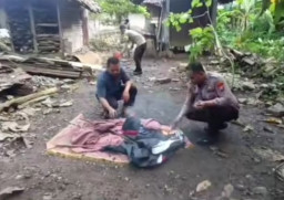 Pemain Judi Sabung Ayam Lolos dari Grebekan Polsek Sangkapura