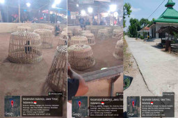 Arena Judi Sabung Ayam di Ponorogo Dekat dengan Pondok Pesantren