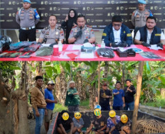 6 Orang Ditangkap Polres Gresik Dalam Kasus Judi Sabung Ayam di Wringinanom
