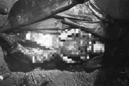 Karyawan PT Sucopindo Tewas Tenggelam di Kutai Lama